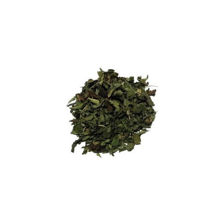 menta – hojas 50gr