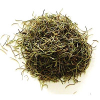 alecrim – planta 100gr