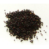 mostarda – grãos (sementes) 20gr