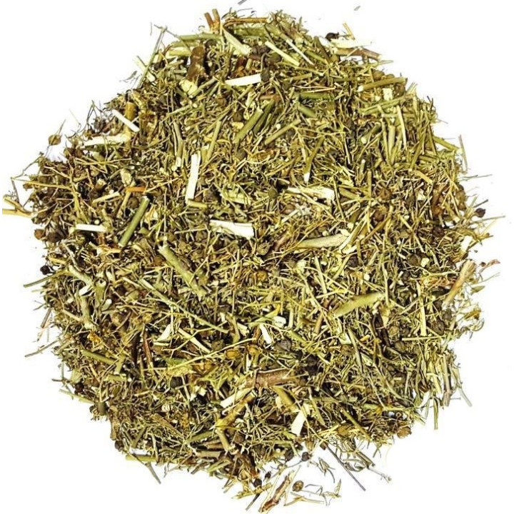 arruda – planta 1kg