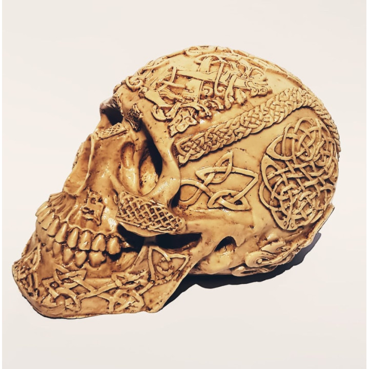 Calavera Decorativa 1– 18cmX11cmX11cm