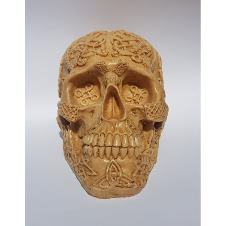 Calavera Decorativa 1– 18cmX11cmX11cm