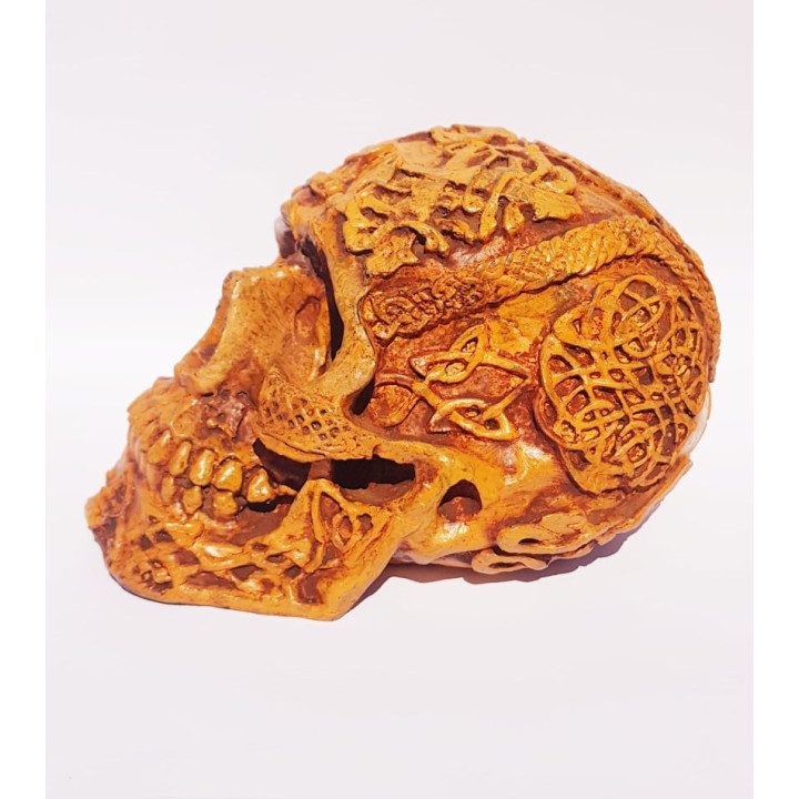 Calavera Decorativa 2– 18cmX11cmX11cm