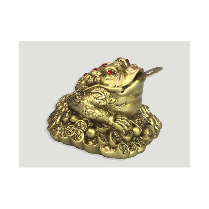 sapo de dinero – medio