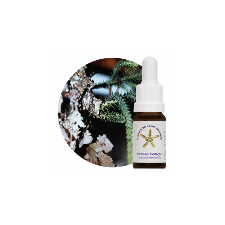 Flor Pinheiro Libertador - 10ml