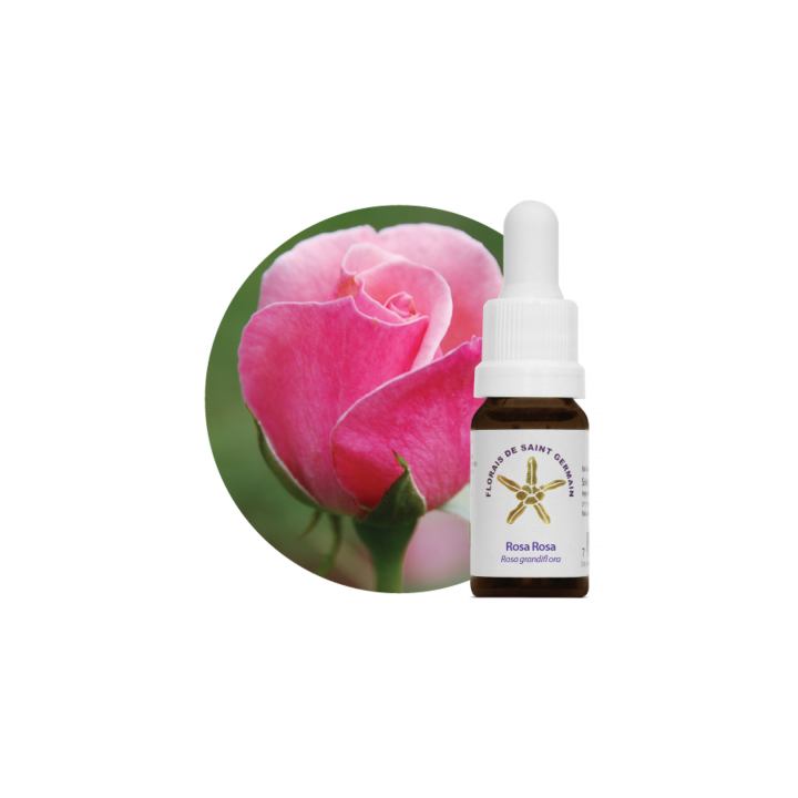 Florales Rosa Rosa - 10ml