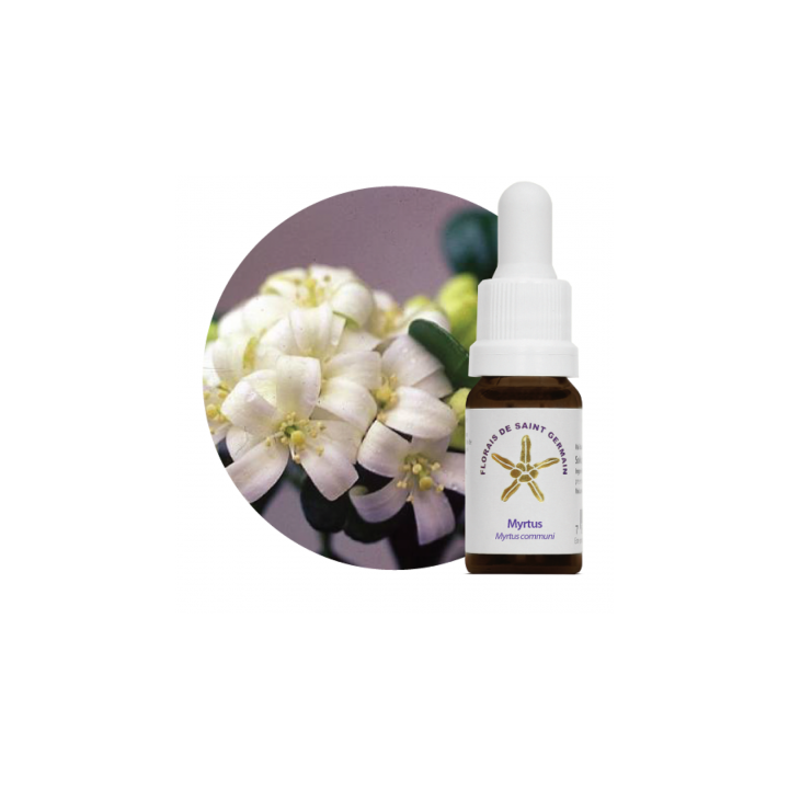 Floral Myrtus - 10ml