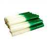 kg velas brancas e verdes (15×15)